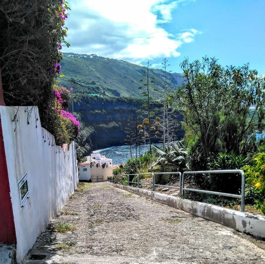 Ana Palmtreeteraceflat Playa De San Marcos Apartment Icod De Los Vinos Spain